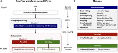 MasterOfPores: A Workflow for the Analysis of Oxford Nanopore Direct RNA Sequencing Datasets